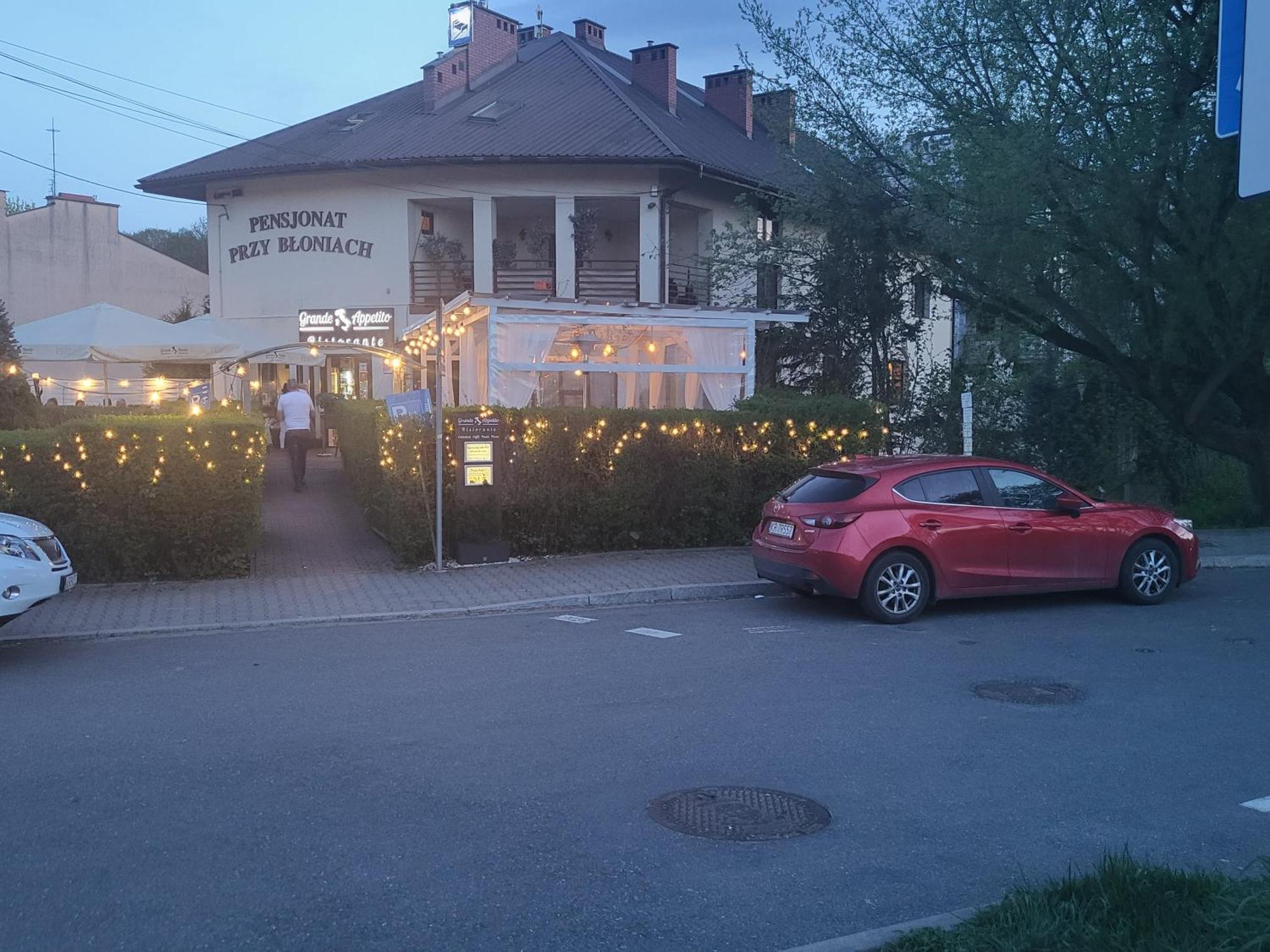 Pensjonat Przy Bloniach Krakow Exterior photo